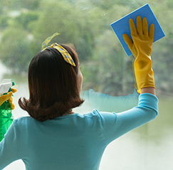 window cleaning