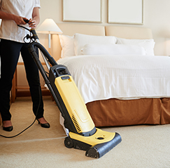 carpet cleaning